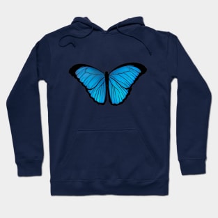 Mariposa azul aesthetic cottagecore  lepidopterología Hoodie